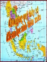 Bài 11: Các quốc gia Đông Nam Á cuối thế kỉ XIX đầu thế kỉ XX