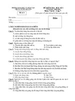 đề kiểm tra HKI Lý 7 năm 2008 - 2009