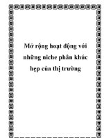 Mở rộng hoạt động với những niche phân khúc hẹp của thị trường 