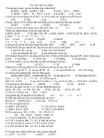 ON TAP HOA 10 HKII - HAY