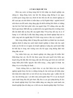 CÁC GIẢI PHÁP NÂNG CAO NĂNG LỰC CẠNH TRANH CỦA NGÀNH THÉP VIỆT NAM27