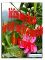 VĂN BẢN : CỐ HƯƠNG