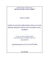 Nghiên cứu một số đặc điểm sinh học sinh sản ngao dầu meretrix (linnaeus, 1758) ở vùng biển cát hải   hải phòng 