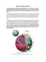 HIV trở nên nguy hiểm hơn?