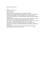 Code ảnh phục hưng