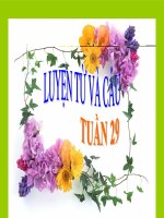 Mở rộng vốn từ: Từ ngữ về cây cối- Tuần 29