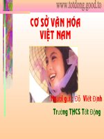 Van Hoa Viet Nam