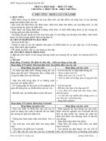 Giáo án mẫu 10 và 11