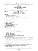 Giao an khoi 2 tuan 31