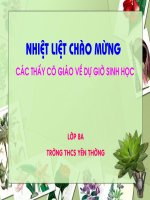 Tiết 28: Tiêu hóa ở dạ dày-BG Thi GVDG