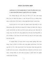 Phương hướng kinh doanh trong giai đoạn tới Công ty Đầu tư và Phát triển công nghệ truyền hình Việt Nam 