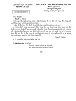 Đề thi học kỳ II năm học 2008-2009