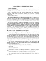 Quy dinh chung ve dang ky va cap ma so thue