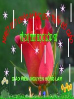 Tiết 128: Nghĩa tường minh và hàm ý. Nguyễn Hồng Lam