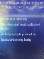 bai 61 sh 8