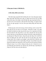 Công tác phân tích hoạt động kinh tế tại công ty HảI Âu 