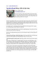 Bài thuốc chữa bệnh đại tràng