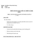 một số giống gà được nuôi nhiều ở nước ta