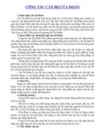 Công tác đào tạo bồi dưỡng cán bộ của Đoàn