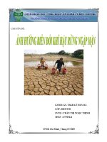 anh huong bien doi khi hau rung ngap man vwwze 20130111103124 19 