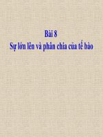 Bài 8: Sự lớn lên và phân chia TB