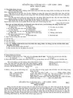 de KT đọc L3(rat hay)