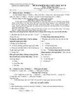 Đề thi học kỳ 2 môn tiếng Việt