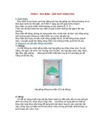 RAU mầm - sản XUẤT HÀNG hóa 