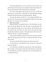 chủ trương của ĐCSVN trong giai đoạn 1965-1968 