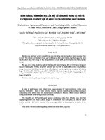 ĐáNH GIá ĐặC ĐIểM NÔNG HọC CủA MộT Số DòNG NGÔ ĐƯờNG Tự PHốI Và XáC ĐịNH KHả NĂNG KếT HợP Về NĂNG SUấT BằNG PHƯƠNG PHáP LAI đỉNH