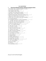 tag question (exercises)