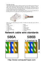 Cách bấm cáp mạng