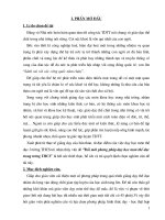 Sang kien kinh nghiem 2008 - 2009