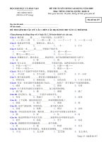 ĐỀ THI TUYỂN SINH CAO ĐẲNG NĂM 2009 Môn: TIẾNG TRUNG QUỐC; Khối: D mã đề  257 