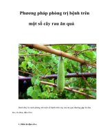 Phương pháp phòng trị bệnh trên một số cây rau ăn quả 