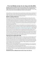 Tối ưu hoá Website của bạn cho các công cụ tìm kiếm