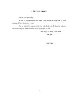 Hiệu quả các dự án đầu tư của doanh nghiệp dân doanh tại khu công nghiệp phú bài tỉnh thừa thiên huế 