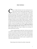 Phân tich quá trình cổ phần hoá doanh nghiệp Nhà nước ở Việt Nam