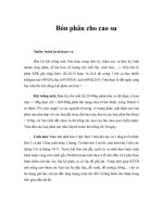 Bón phân cho cao su 