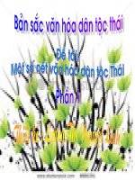 Văn hóa dân tộc Thái