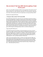 kinh tế Việt Nam 2009