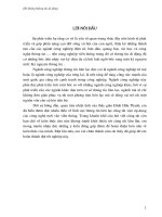 Đánh giá chất lơượng một số chế phẩm chứa vitamin C sản xuất trong nước lưu hành trên thị trường Hà Nội