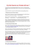 Lấy file Flash từ các Website thế nào