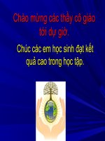 Bài 14 - Bảo vệ tài nguyên và thiên nhiên (tiết 1)