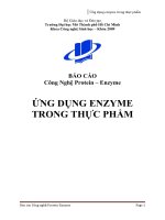 Ứng dụng enzyme trong thực phẩm (chính thức) 