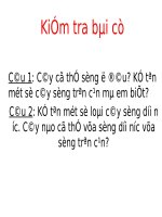 bài 25: Một số loài cây sống trên cạn