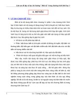 Sáng kiến kinh nghiệm : Làm sao để dạy và học tốt chương Biến dị - chương trình sinh học 9