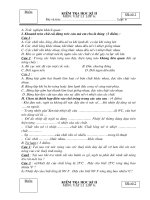 Kiểm tra học kỳ 2 môn Vật lý lớp 6