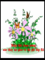 Bgdt - Tap doc - Thay cung di BV - Lop 5 - NVX