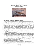 Cẩm nang nuôi cá sấu 